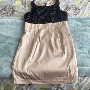 Gorgeous Cream/Black Rose detailed Dress